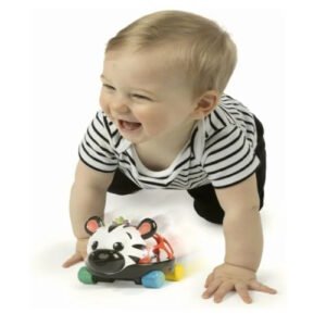 COCHE SONAJERO ZEN OBALL -16772