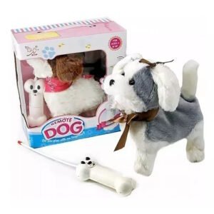 O PERRO A RADIO CONTROL -1060054