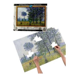 PUZZLE 1000 PIEZAS CAMPO DE PRIMAVERA -8100175