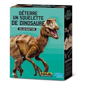 SET DE EXCAVACION ESQUELETO DE VELOCIRAPTOR -FM234