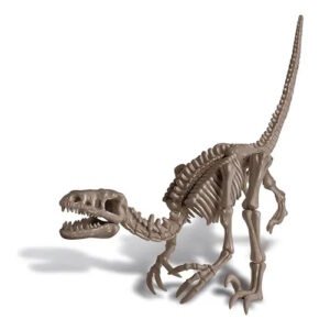 SET DE EXCAVACION ESQUELETO DE VELOCIRAPTOR -FM234
