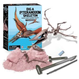 SET DE EXCAVACION ESQUELETO DE PTERODON -FM359